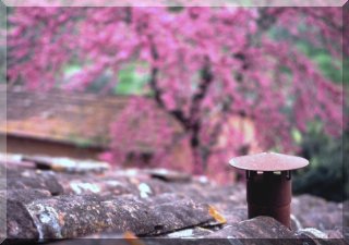 Spring in Tuscany