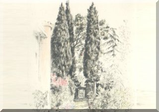 Passage in the garden with cypresses