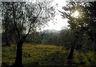 the beautiful nature