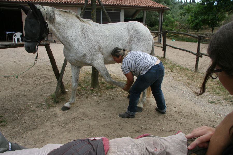 Massage and Stretching Course