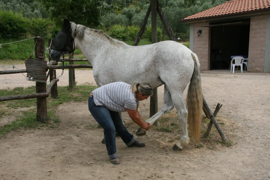 Massage and Stretching Course