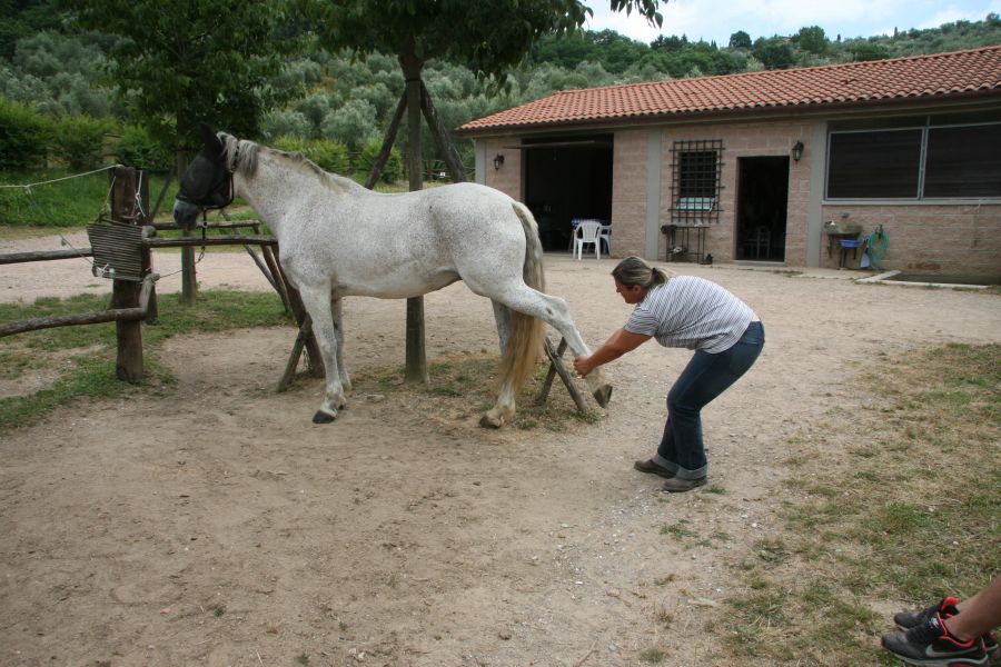 Massage and Stretching Course