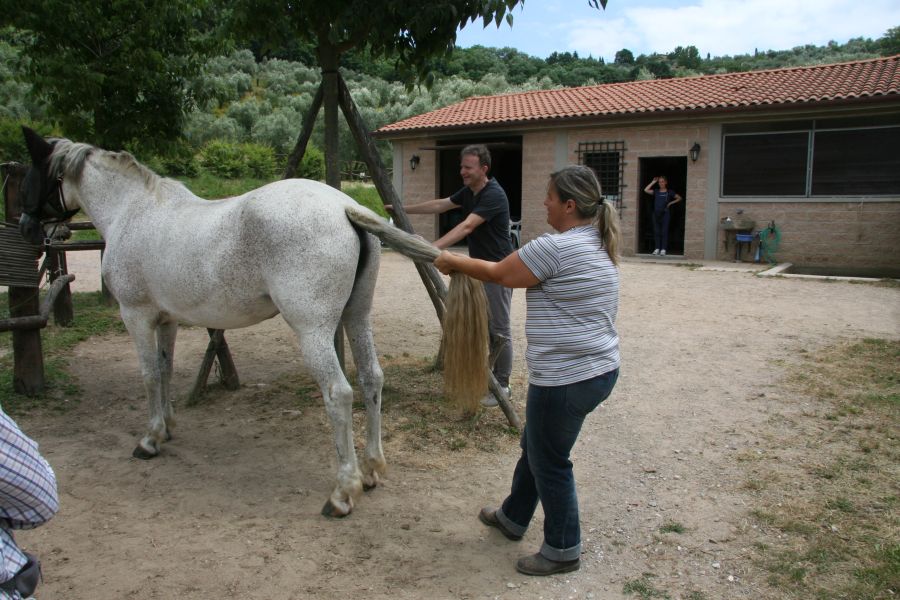 Massage and Stretching Course