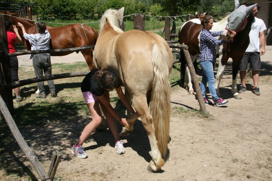 Massage and Stretching Course