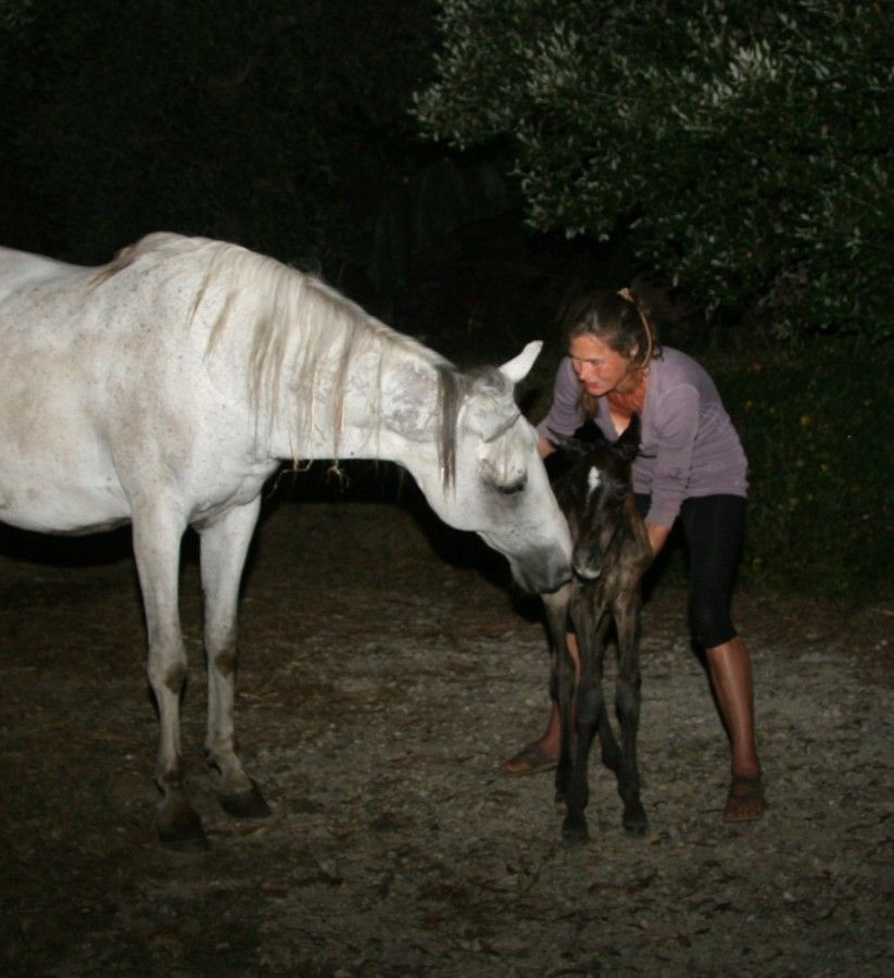 Paquita - born the 11th of July 2013 23:30