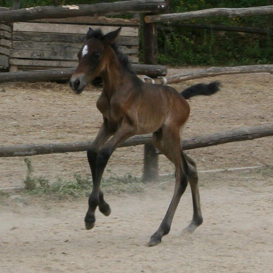 Paquita's first day