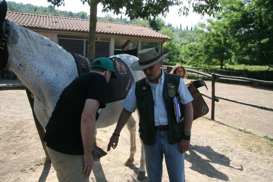 III level ENGEA exam for riders from the Villa Stabbia riding centre 