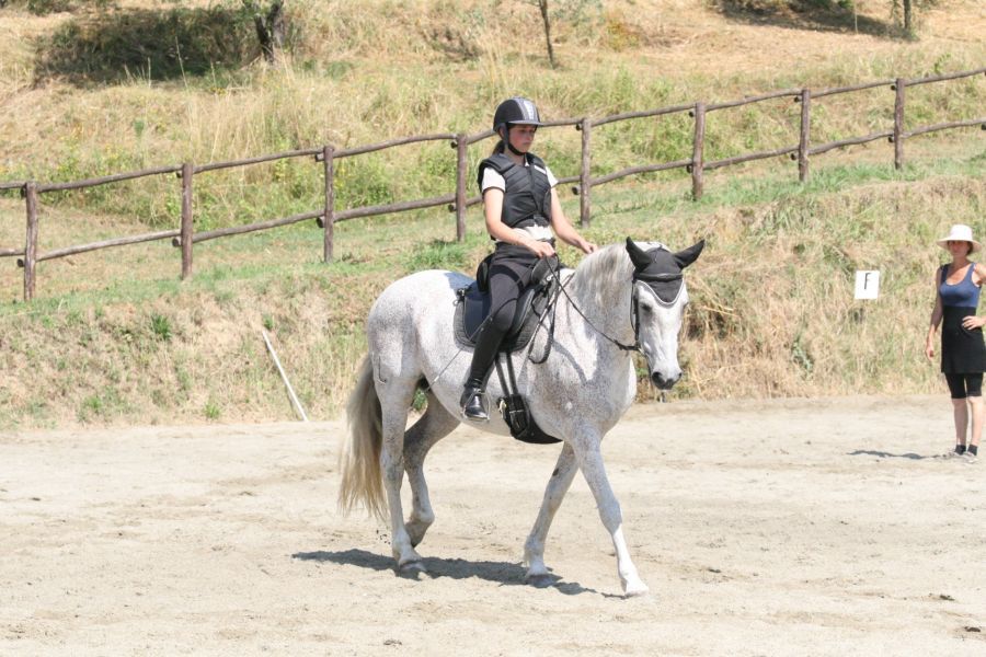 III level ENGEA exam for riders from the Villa Stabbia riding centre 