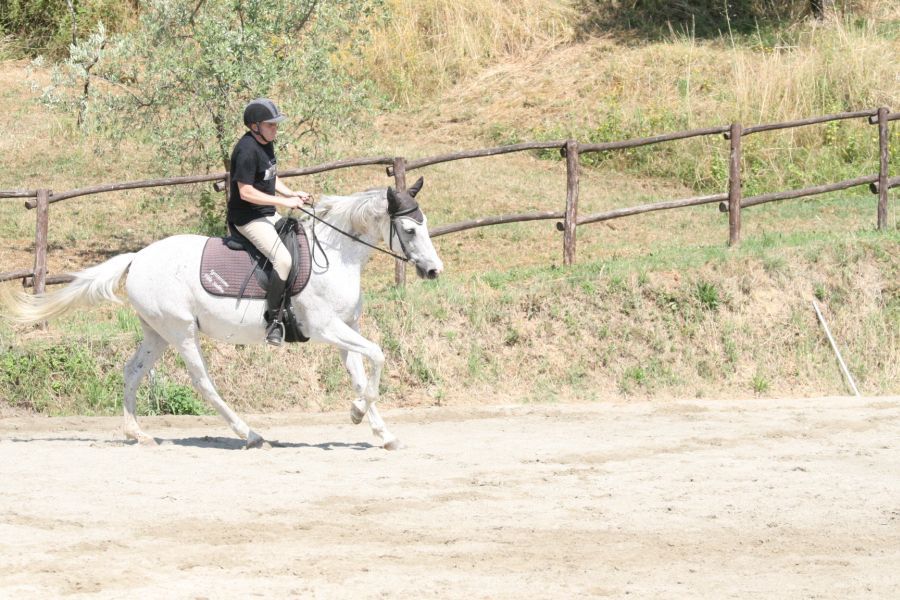 III level ENGEA exam for riders from the Villa Stabbia riding centre 