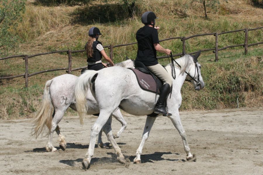 III level ENGEA exam for riders from the Villa Stabbia riding centre 