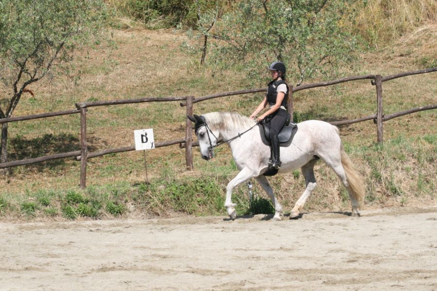 III level ENGEA exam for riders from the Villa Stabbia riding centre 