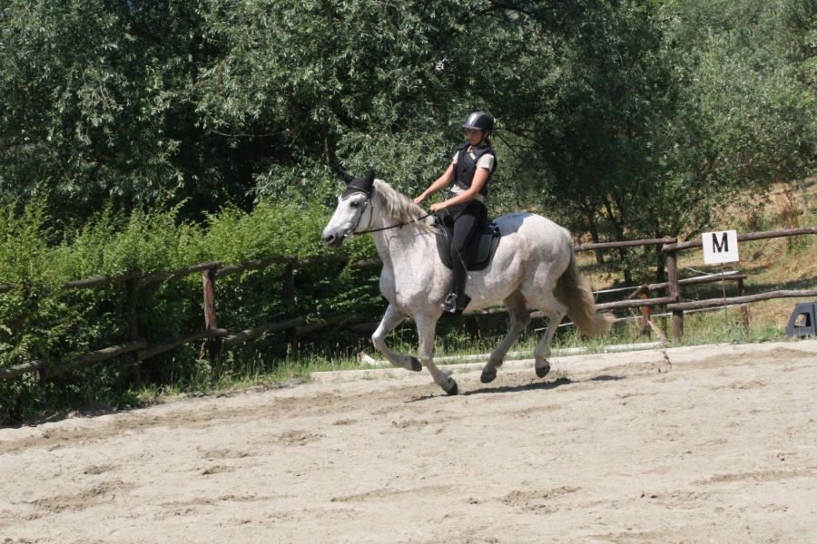 III level ENGEA exam for riders from the Villa Stabbia riding centre 