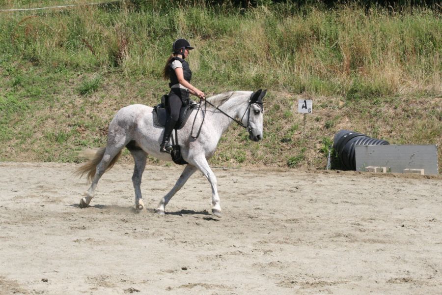 III level ENGEA exam for riders from the Villa Stabbia riding centre 