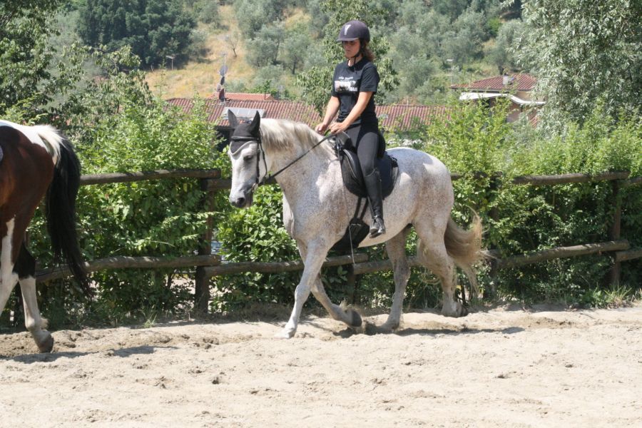 III level ENGEA exam for riders from the Villa Stabbia riding centre 