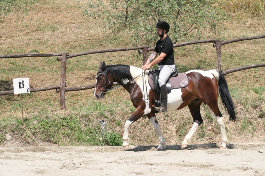 III level ENGEA exam for riders from the Villa Stabbia riding centre 