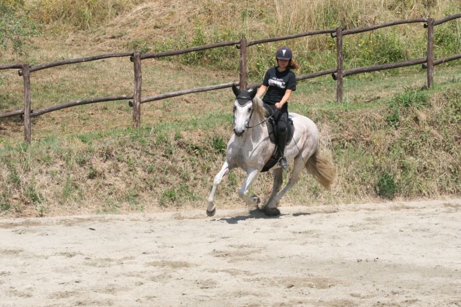 III level ENGEA exam for riders from the Villa Stabbia riding centre 