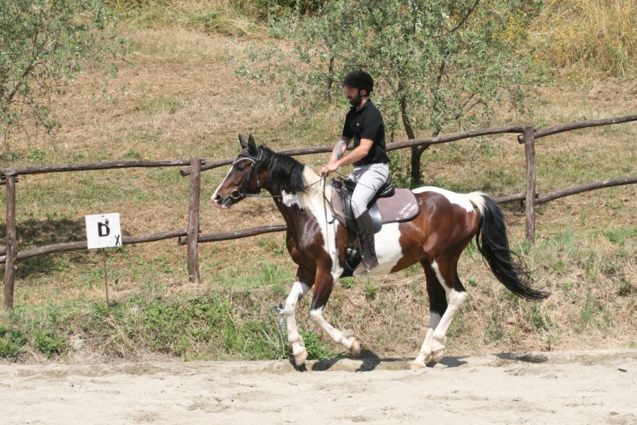 III level ENGEA exam for riders from the Villa Stabbia riding centre 