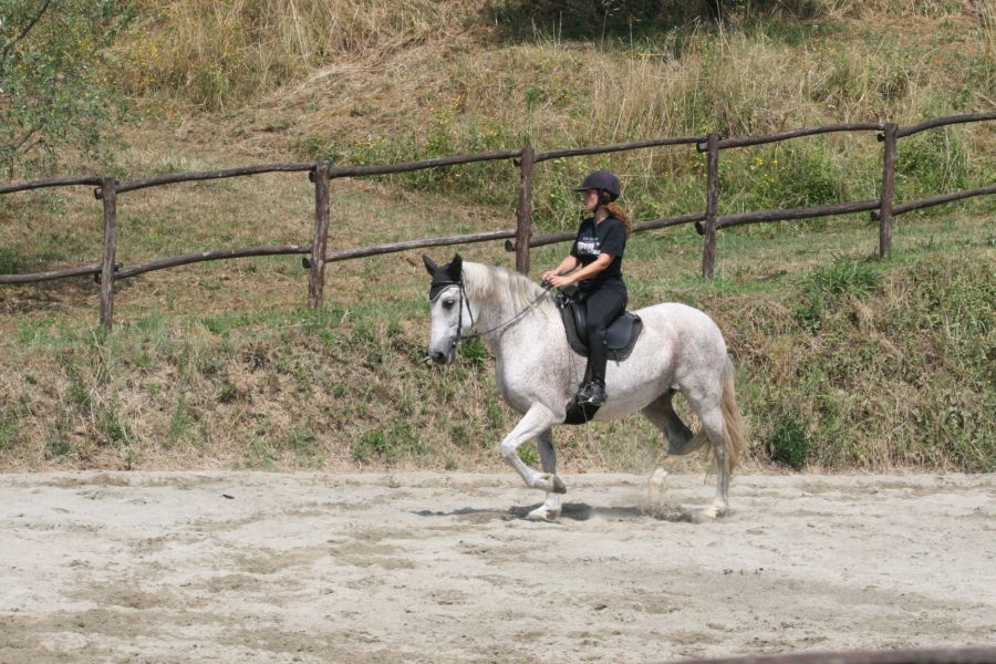 III level ENGEA exam for riders from the Villa Stabbia riding centre 