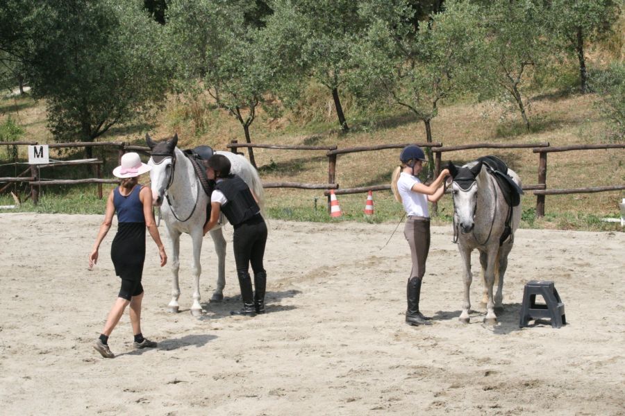 III level ENGEA exam for riders from the Villa Stabbia riding centre 