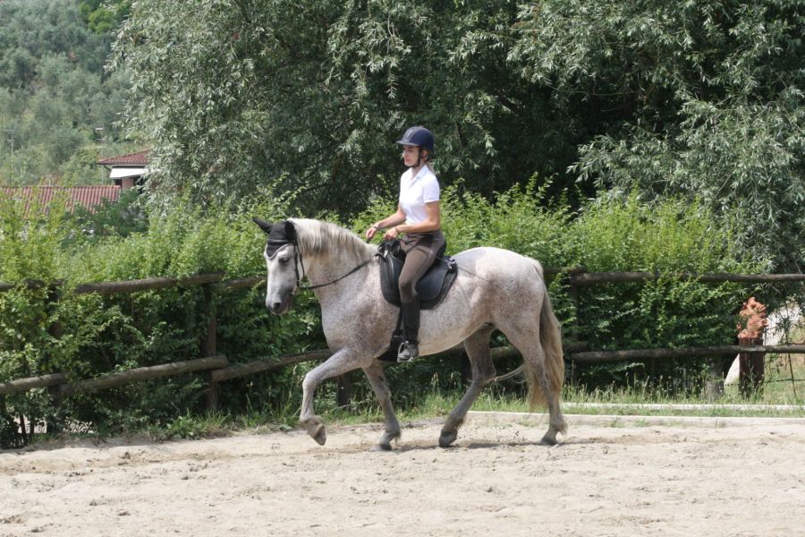 III level ENGEA exam for riders from the Villa Stabbia riding centre 