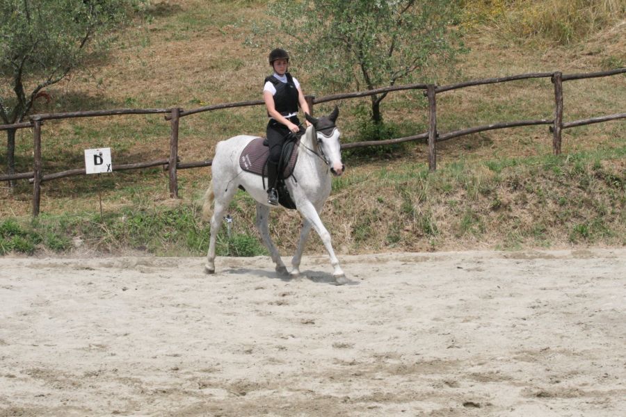 III level ENGEA exam for riders from the Villa Stabbia riding centre 