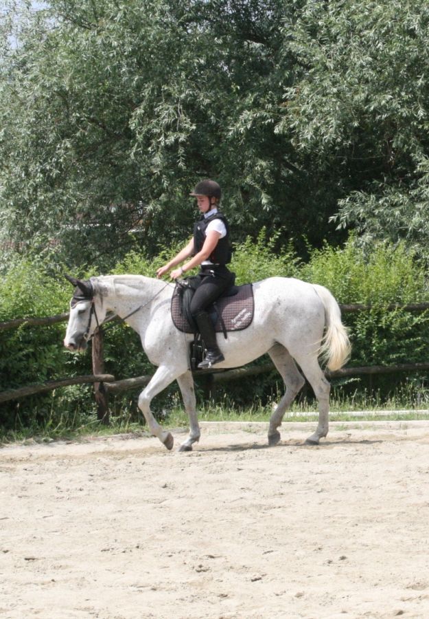 III level ENGEA exam for riders from the Villa Stabbia riding centre 