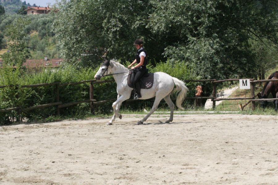 III level ENGEA exam for riders from the Villa Stabbia riding centre 