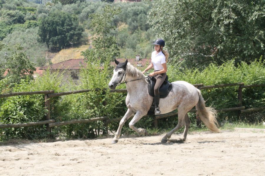 III level ENGEA exam for riders from the Villa Stabbia riding centre 