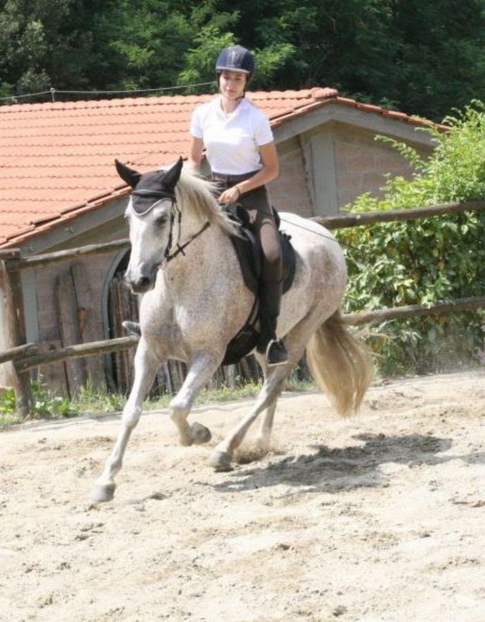 III level ENGEA exam for riders from the Villa Stabbia riding centre 