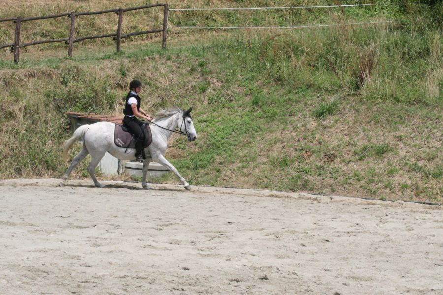 III level ENGEA exam for riders from the Villa Stabbia riding centre 