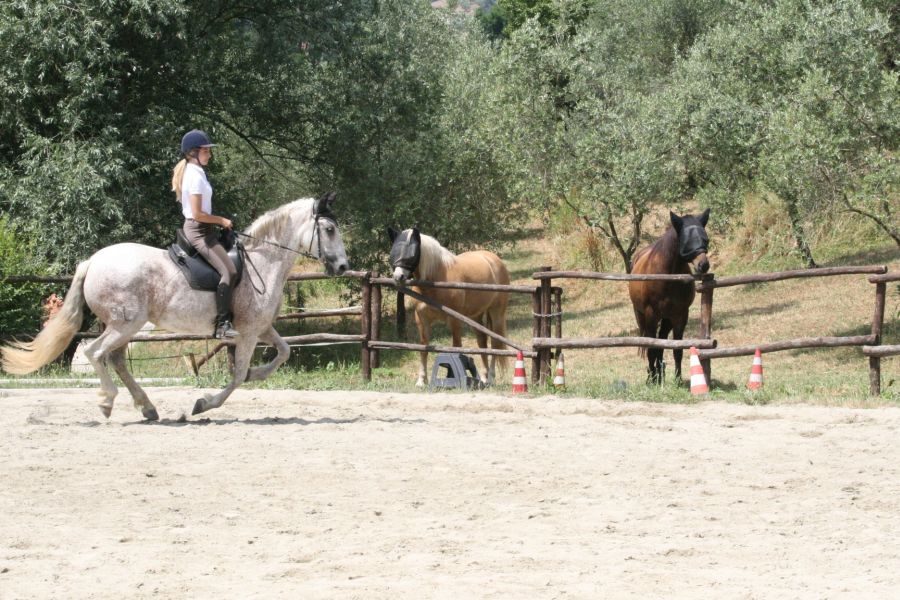 III level ENGEA exam for riders from the Villa Stabbia riding centre 