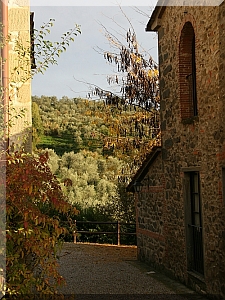 Autumn