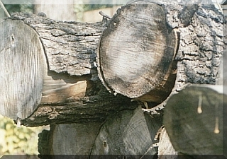 Stacked Wood