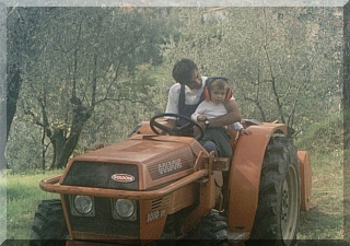 Preparing to cut the grass in the field