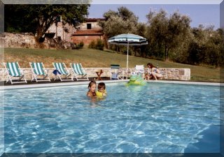 Summer in the pool