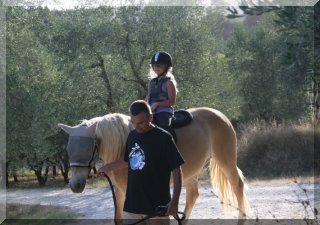 Horse Riding in the Countryside