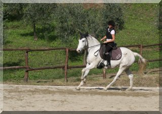 Riding Lessons