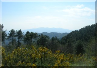 Exploring the area by Trekking and Biking