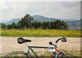 off the beaten track