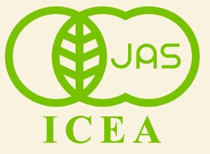 「JAS ICEA」的圖片搜尋結果