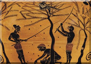 Etruscans beating the trees to harvest the olives 