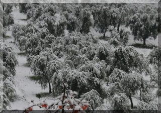 Winter view over the fields