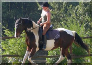 and a positive experience - for horse and rider