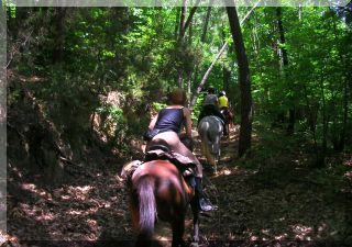Long treks in the mountains
