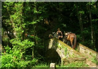Old bridges to be crossed by foot