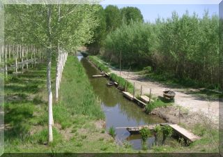 A trip to the padule - a giant bird sanctuary