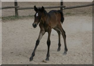 Just 5 days old