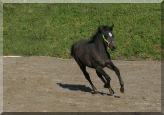 Full of energy one minute