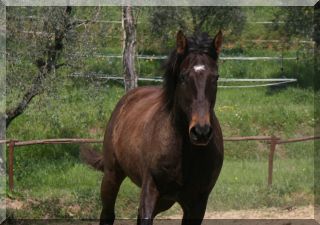 Although calm and serene - he loves speed