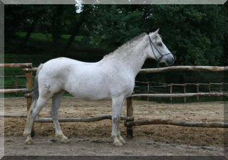 She comes from a small place just outside Seville